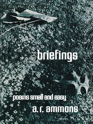 cover image of Briefings